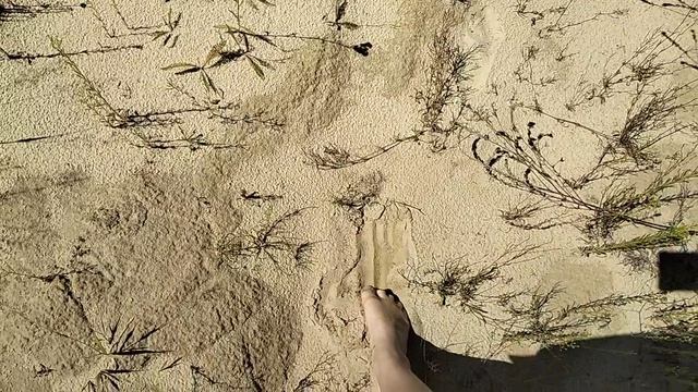 VID20250719123633 смотреть онлайн