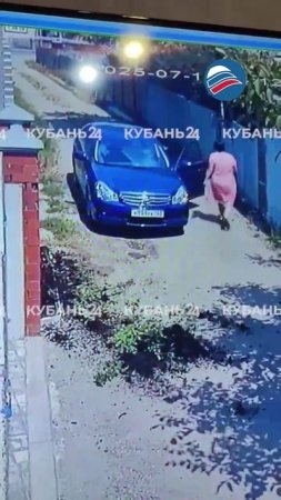 Вандалка разрушает цветочные клумбы соседей в станице Динской
