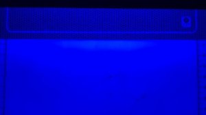 Банкноты СНГ и Монголии