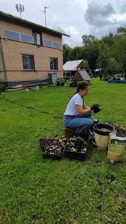 Можно бесконечно смотреть на 3 вещи: огонь, воду и как другие работают!