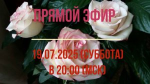 Анонс эфира 19.07.2025