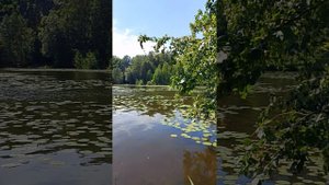 Хейтер Страничка Надежды