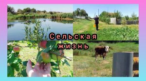 Снова в Поход за ягодой/Небольшая покупка