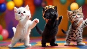 смешные котята танцуют