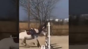 Не, ну а че, пусть сам попробует перепрыгнуть