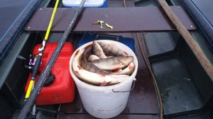 Волшебный клёв крупного окуня  Таскаю как из бочки  07.07.2025