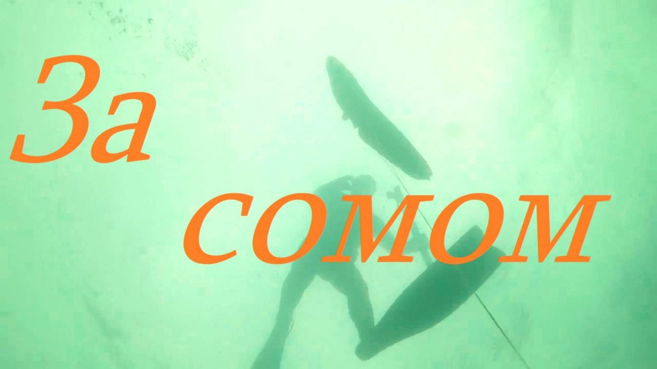 Подводная охота на сома. смотреть онлайн