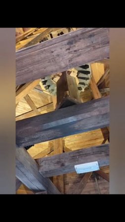 Нидерланды,Парк тюльпанов