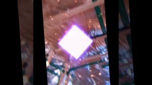 1000029562.mp4 (Собака наблюдает за креплением каркаса в большой комнате в доме А-фрейм)