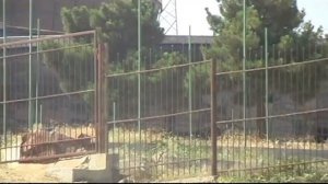 Тбилисское море