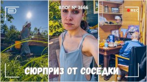 Соседка сделала  мне сюрприз - ВЛОГ №3666 - 18.07.25