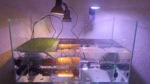 Обзор новой квартиры Кузи