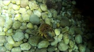 под водой
