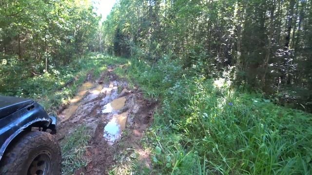 Поездка в лес за черникой и грибами на Сузуки эскудо смотреть онлайн