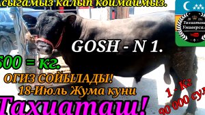 19-07-2025 БЫК