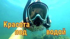 Изумительная подводная красота часть 1