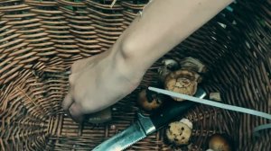 прекрасные дары природы, красота и свежий воздух