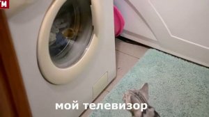Елена Малышева рекомендует. Позы для мужчин при просмотре телевизора. Лежать здорово!