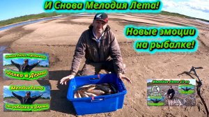 Снова за Мелодией Лета! Наша традиционная рыбалка в деревне. Какие впечатления в этот раз?