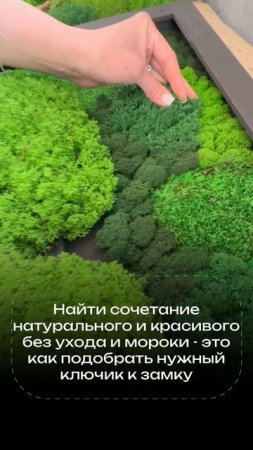 Картины из мха и растений разных оттенков и фактуры