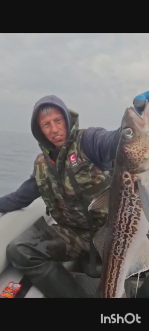 Рыбалка на мысе Свободный. Минтай, треска и ёрш / голубой окунь.