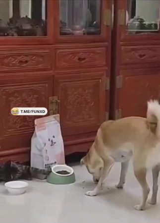 Идеальное преступление😁