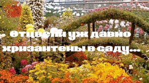 Отцвели уж давно хризантемы в саду . Романс