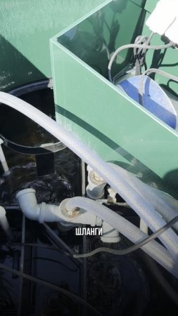 Как часто нужно менять компрессор и расходники в станции биологической очистки?