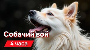 Звуки для соседей - собачий вой