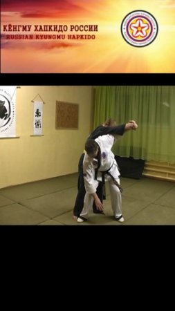 Master Igor Suryenkov. Kyungmu Hapkido demonstration. (Russia. Yasny. February 2010.) Part 2