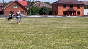 4 Отл. ЕВЭЛИН из Белого Яра +++ №60. КЧК ТЮМЕНЬ 5 июля`25 Моно немецких овчарок