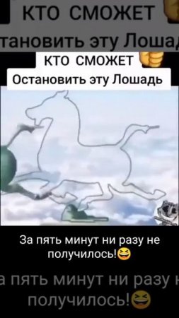 Останови лошадь