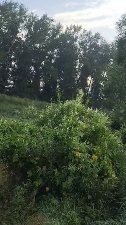 Сидим рыбачим с друзьями, вдруг налёт беспилотников, прилетел вертолёт