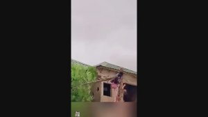 Незаконная вырубка лесов.