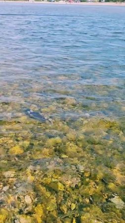 Как лосось превращается в рыбу - зомби!🐟👆🙌 #nastikae #fishing #горбуша