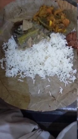 Feast Prasadam in Gada Bhavan Mayapur Dham #mayapur #food #prasadam #shorts