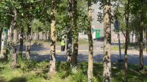 Мончегорск. День Металлурга. Забег Норникеля 2025 Часть 2