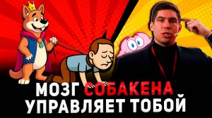 Как перестать жить на "собачьих" инстинктах и включить мозг