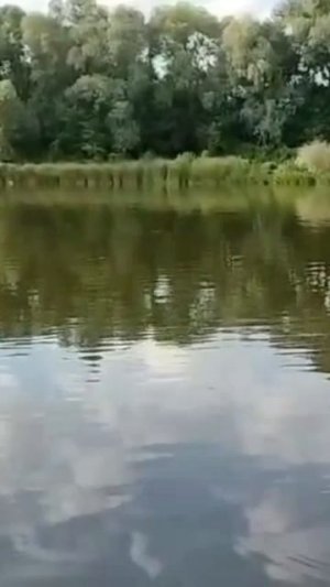река ДОН