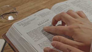 Курсы английского языка для взрослых