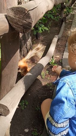 И орешки всё грызёт!