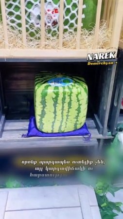 🍉 Հարուստ երկրում՝ աղքատ շքեղություն