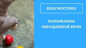 Коррекция сенсорной алалии очно в кабинете