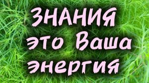 Знания это Ваша энергия