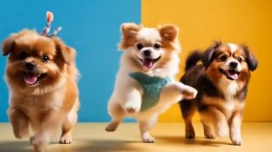 танцующие собакены