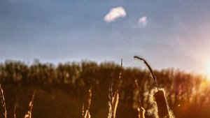 Истории из жизни|Я не игрушка|Аудио рассказы|Аудиокниги слушать онлайн|Жизненные истории