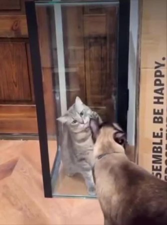 Подпишись 👉 https://vk.com/ykrasheniy_iz_kamny