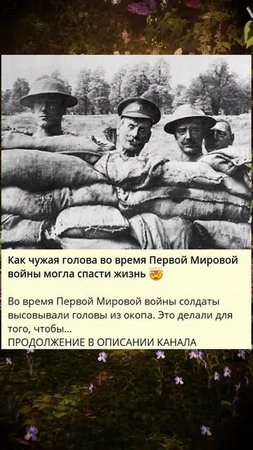 C_Как чужая голова во время Первой Мировой войны могла спасти жизнь -_B