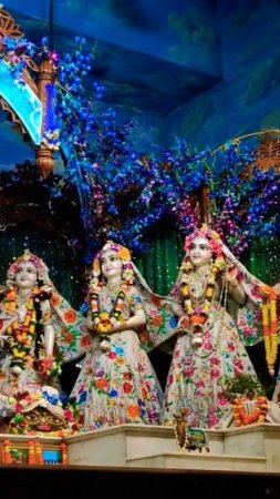 Radha Madhava darshan 3 in Mayapur Dham #mayapur #radha #shorts