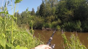 Деревня Соснино (рыбалка)